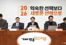 개혁신당, 지방선거 공천 접수 개시…'비효율·로비·기탁금' 없앴다