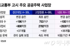 16층 짓는데 6년? 공공주도 공급 하세월