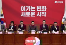 국힘 윤리위원장 "법적 책임 외에 윤리적·정치적 책임도 판단할 것"