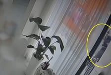 "허벅지 안쪽 좀"…여성 전용 가게서 시술 요청한 할아버지