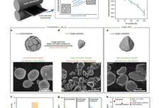 SK온, 단결정 양극재 연구 성과 공개…"기술 경쟁력 확인"