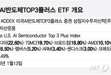 올해도 AI 간다…美 반도체 TOP3 집중 투자 첫 ETF 나온다