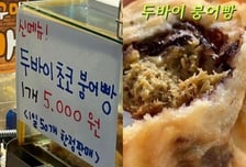 "두바이 붕어빵 1개 5000원"...두쫀쿠 이어 비싸도 '인기 폭발'