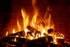 매년 2억원 따박따박...영상 1개로 돈 버는 유튜버, 비결은?