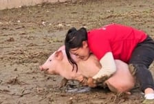 73kg 돼지도 맨손으로 번쩍…22승 '돼지잡기 달인' 30대 中여성