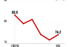 삼성·하이닉스 '신고가' 파티에도...초대받지 못한 개미