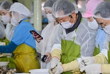 굴 따러 간 정청래 "광주·전남 통합, 대전·충남보다 더 빠를 것"