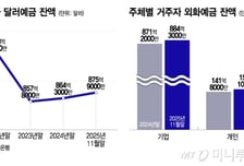 [단독]다시 뛴다? 구두 개입한 날 달러예금에 '뭉칫돈'…당국 실태조사