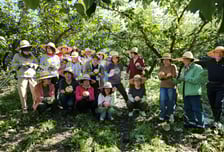서울시, 녹색서울실천사업 참여단체 모집
