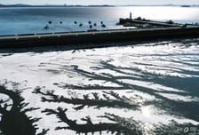 "바람이 왜 이래" 전국 꽁꽁 얼었다…한파 위기경보 '주의'로 격상