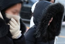 일요일 호남 최대 20cm 폭설…매서운 강추위[내일날씨]