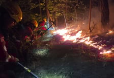 밤샘 진화에도 의성 산불, 230m 잔불...강풍에 애먹어