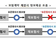 해외 재재보험사로 계약정보 자동이전.. 재보험사 美진출  '물꼬'