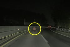 깜깜한데 도로 한복판 뚜벅뚜벅...위험천만 '치매 할머니' 구한 군인