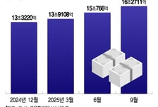 "주식 지금 팔긴 아까워" 대출 담보로 쑥쑥…5대은행 '증담대' 16조 돌파