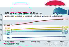 메리츠·롯손이 키운 '엔잡러' 설계사…삼성화재까지 가세한 배경