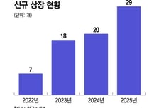 분산 투자 아니었어? 똘똘한 종목만 담은 '압축형' ETF 쏟아진다