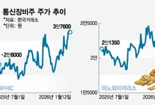 美 5G 확충·중국산 배제 반사익 기대감…통신장비주 '점프'