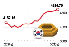 "여기 싸네" 삼전·SK하닉 대신 줍줍…'주도주 바뀌나' 변동성 주의