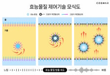 코스맥스, 화장품 효능 성분 방출 속도 제어 기술 개발