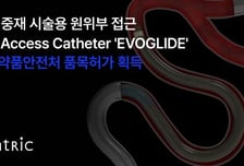 국산 뇌혈관 카테터 첫 도전… 엔벤트릭, '에보글라이드' 식약처 허가