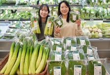 한파에 50% 뛴 깻잎값... 롯데마트에선 싸게 파는 이유