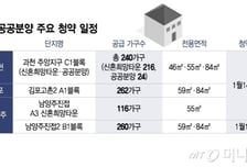 서울 아파트는 그림의 떡? 그렇다면…"강남 바로 옆, 16억 로또" 주목