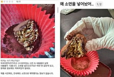 "이건 사기"...9500원짜리 '두쫀쿠', 핵심 재료 빼고 소면 넣었다