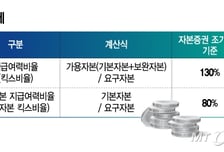"후순위채로 안 돼"…'기본자본킥스 50%↓' 보험사에 적기시정조치