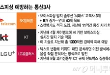 "삐빅, 사기 전화 입니다"…보이스피싱 예방하는 통신 3사