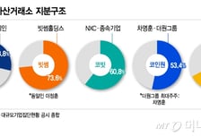 "경영권 뺏길 위기"..5대 가상자산 대표들 '대주주 지분 제한' 공개반대