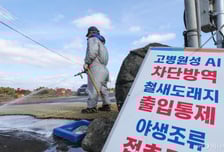 "가축질병 방역 강화"…행안부, 9개 시도에 재난특교세 30억 교부