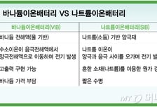 바나듐? 나트륨? 미래 ESS 배터리 잡아라…"中과 경쟁 불가피"