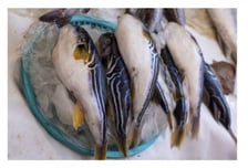 "3년 전에 얼려뒀다"...이것 튀겨 먹은 섬 주민들, 줄줄이 병원행