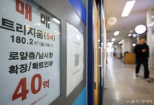 4억 넘는 고액 주담대에 은행 '페널티'...추가 대출규제도 예고