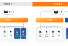 ㈜한화 인적분할…'김승연 3남' 김동선 사업군, 신설 지주로