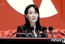 '개꿈' 비난 北 김여정…정동영 "무인기 사건, 조사 결과 상응 조치할 것"