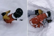 50㎝ 폭설 속 튀어나온 팔…눈에 파묻힌 스키어 극적 구조