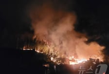 영천 단독주택 화재 인근 야산까지 확산…인명 피해 없어