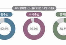 11월까지 나라살림 적자 89.6조…국세수입은 법인·소득세 호조