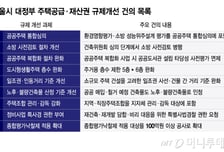 "공공주택 심의 통합·도생 6층 허용"…서울시, 주택공급 규제 개선 건의
