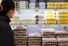 "1+계란 껍데기 보면 알 수 있다"...오늘부터 '품질 등급' 표기