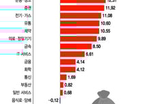 "순환매 장세인데 뭐 사야해요?"…반도체 말고 이것도 오른다