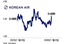 '고공행진' 항공株, 환율 부담에도 실적 선방…전망은?