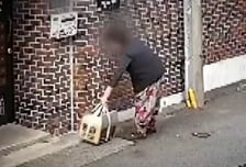 남의 집 앞에 상자 '툭' 버린 여성…생후 2개월 강아지 들어 있었다