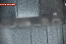 "밖에서 훤히 보여"…서울 호텔 여성 사우나 '내부 노출' 논란