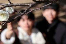 [내일 날씨] 두꺼운 외투 잠시 안녕…낮 최고 15도 ‘포근’