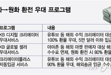 '고환율 대응' 호출에…은행권 내놓는 아이디어는?
