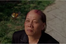 '쿵푸허슬' 양소룡, 중국 선전서 별세…성룡 "믿기 어려운 충격" 애도