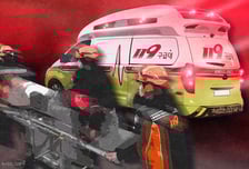 "총알이 귀 옆 스쳤다"...까치 잡던 엽사, 공기총 오발 '아찔'